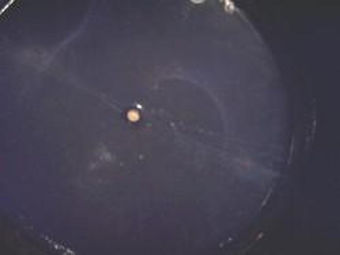 Used Pfaudler 2000 gallon chemstor vertical glass lined tank