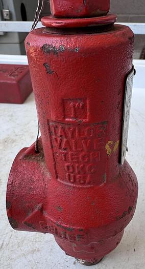Used 2018 Taylor Valve
