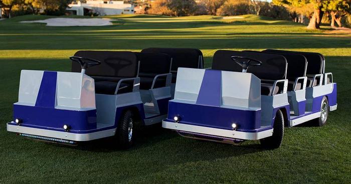 Used Taylor Dunn F-12 8 Passenger Limos