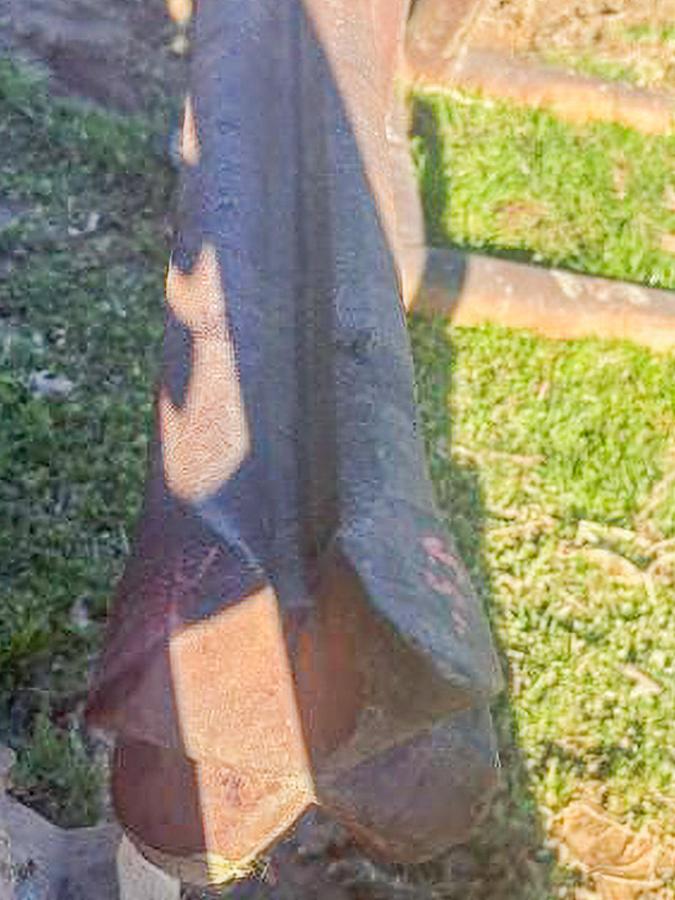 Used 20' Cable Tool Drill Stem