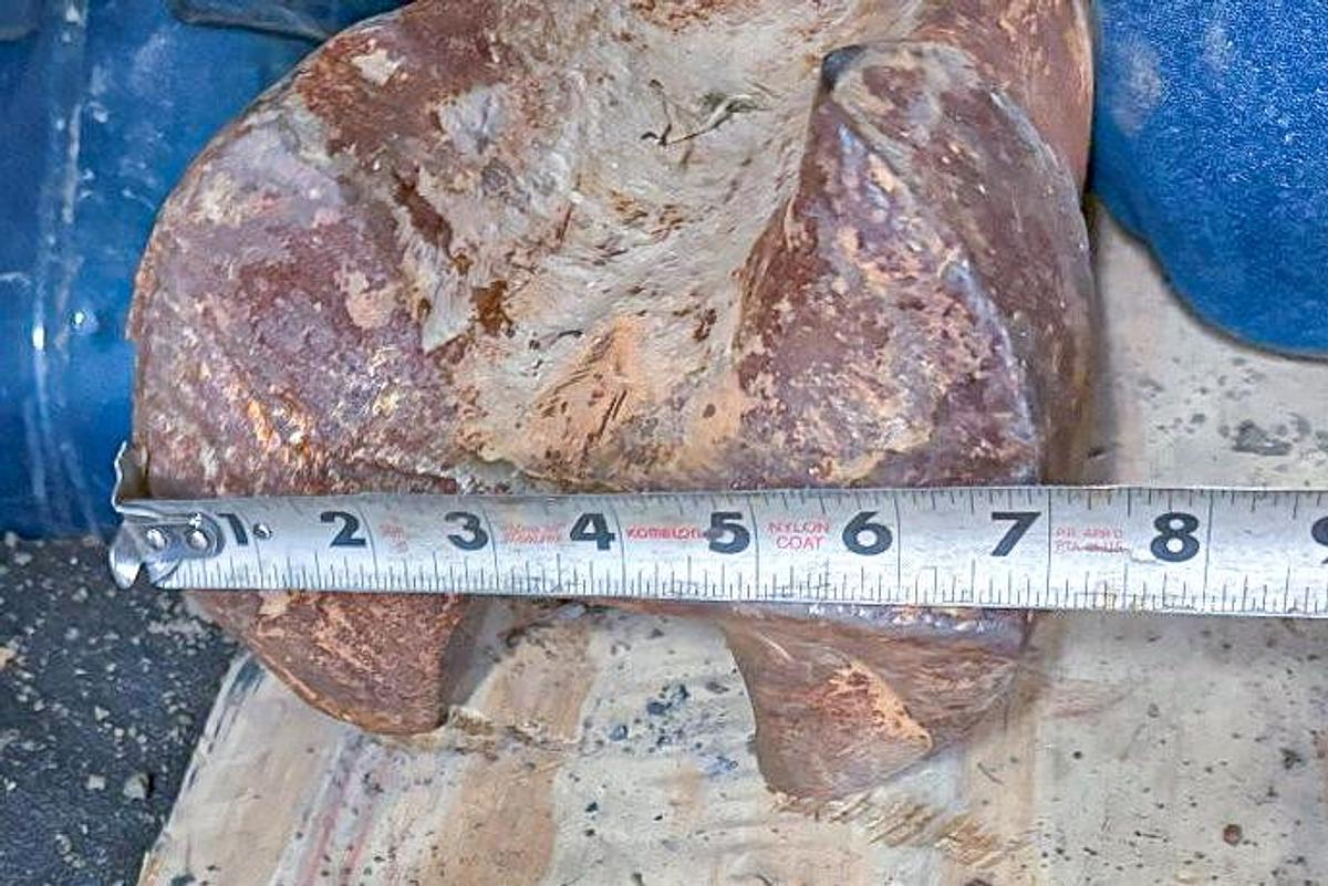 Used 7" Chisel Bit for Cable Tool Well Drill Rig