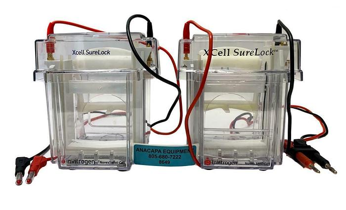 Used Invitrogen XCell SureLock Novex Mini-Cell Electrophoresis System Lot of 2 (8649)