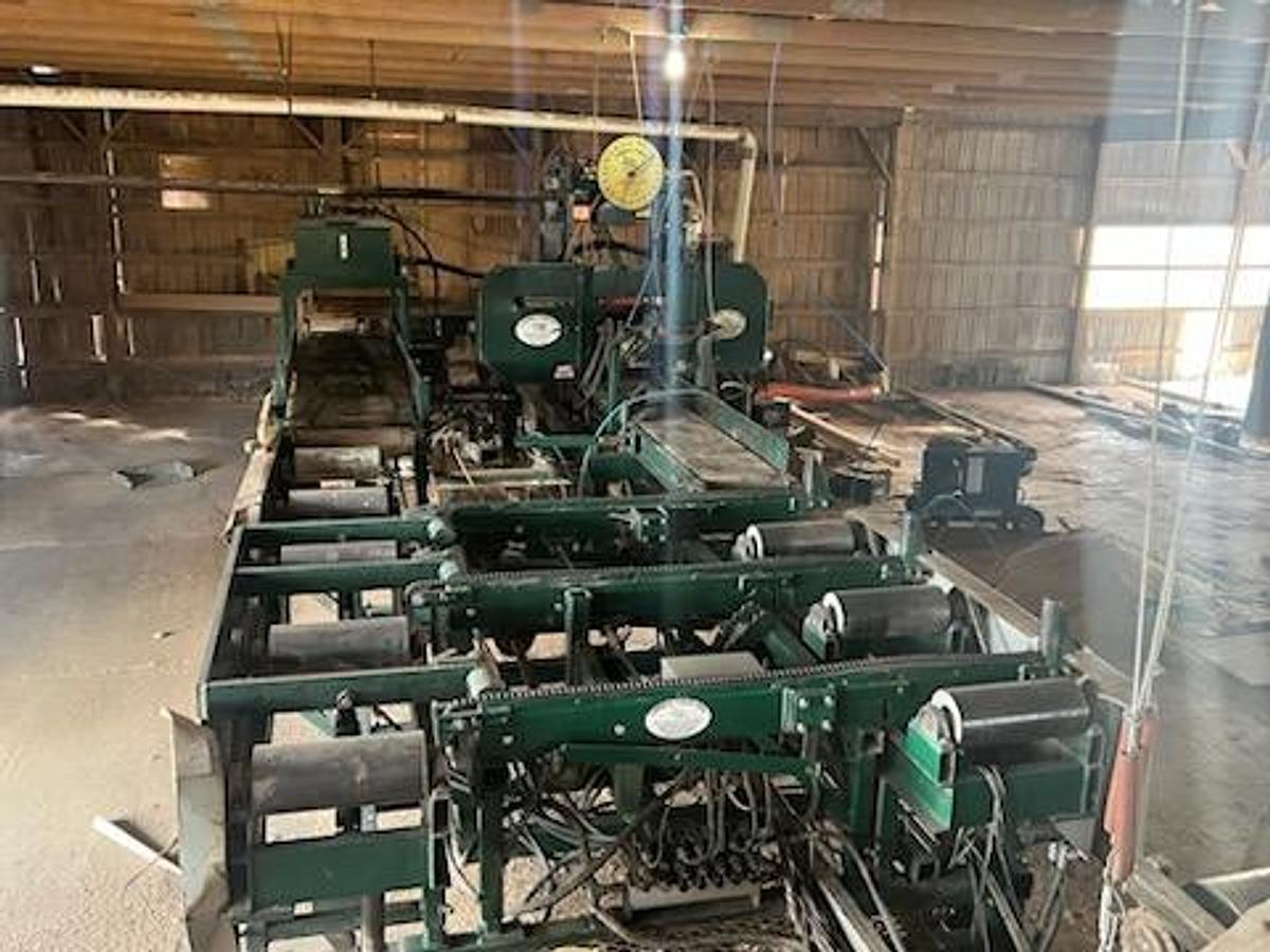 Used Lumber Tiger Resaw With Floating Head