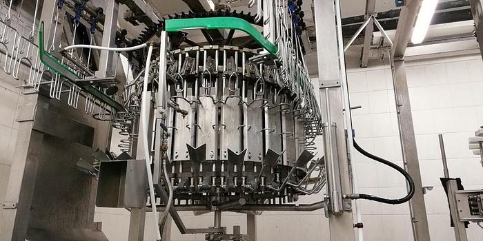 Used Systemate/Linco Evisceration Line