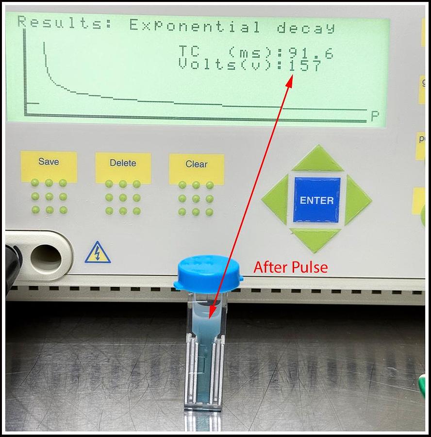 Used Bio-Rad XCell Gene Pulser Electroporation System w WARRANTY
