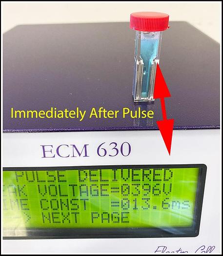 Used BTX Cell Porator Electroporation ECM 630 System w WARRANTY