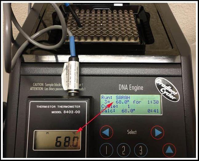 Used PTC-200 Bio-Rad MJ Research Gradient Thermal Cycler w WARRANTY