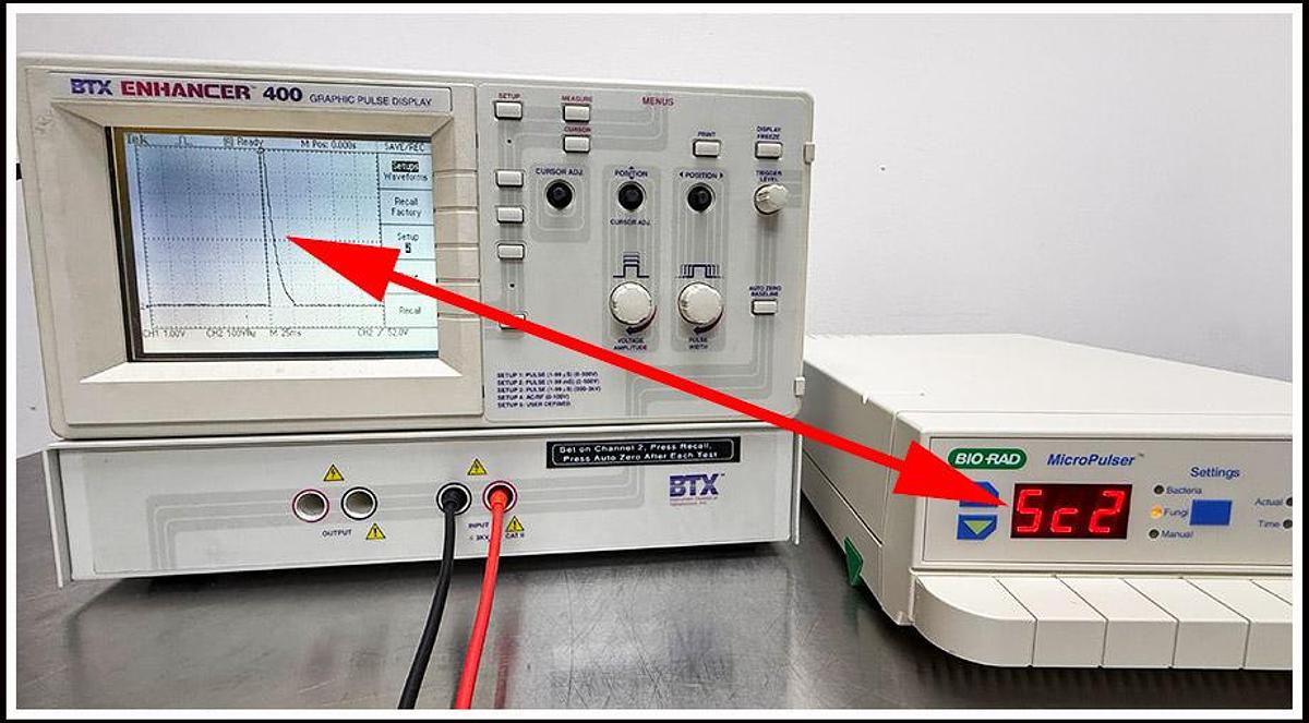 Used Bio-Rad Micropulser Electroporation Bacterial Cell Porator w WARRANTY