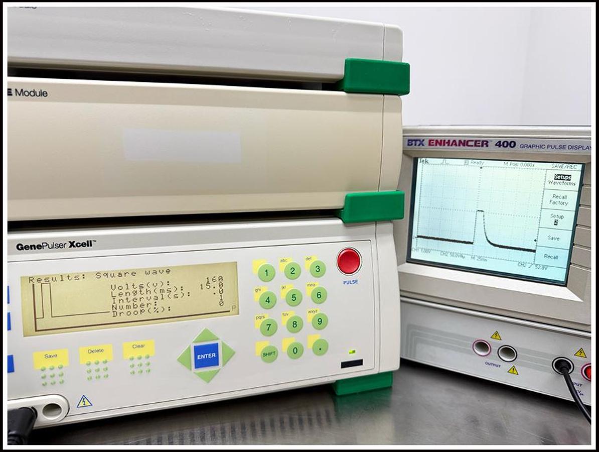 Used Bio-Rad XCell Gene Pulser Electroporation System w WARRANTY