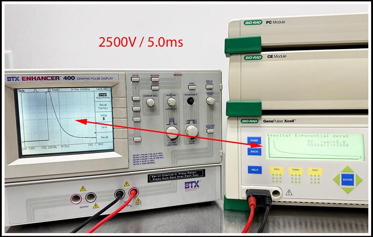 Used Bio-Rad XCell Gene Pulser Electroporation System w WARRANTY