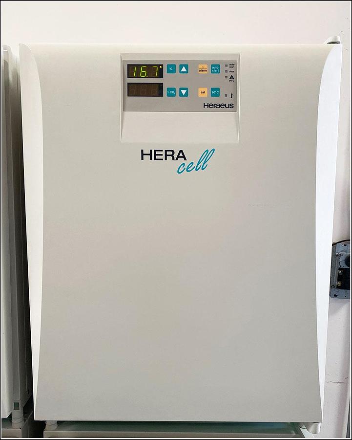 Used Kendro Heraeus HERAcell CO2 Incubator Dual Stack w WARRANTY