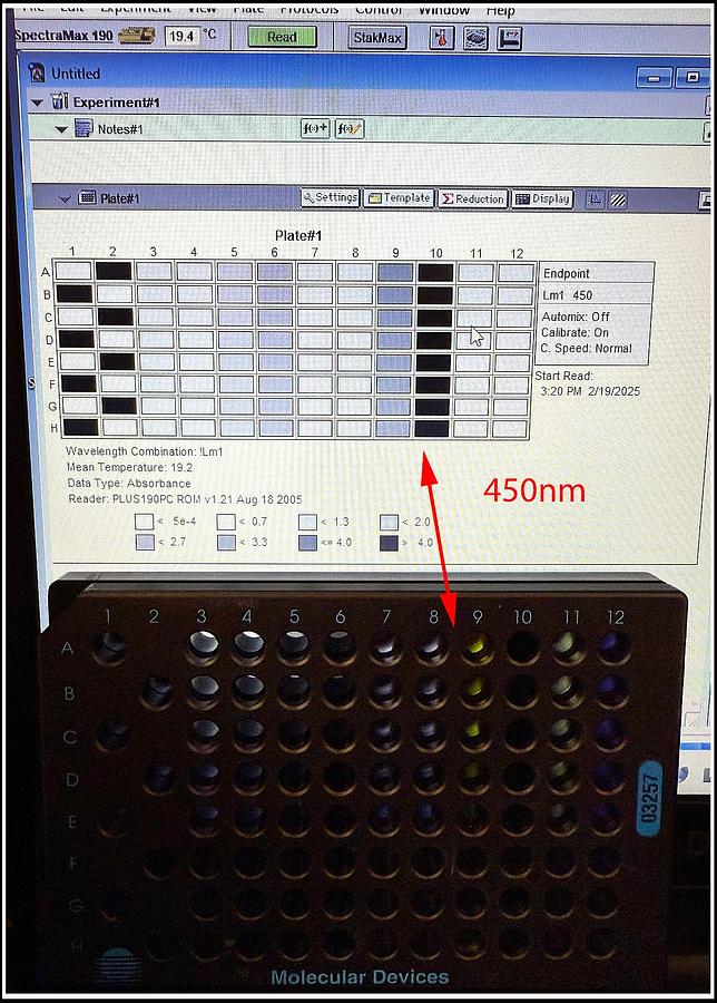 Used Molecular Devices SpectraMax 190 Microplate Reader w WARRANTY