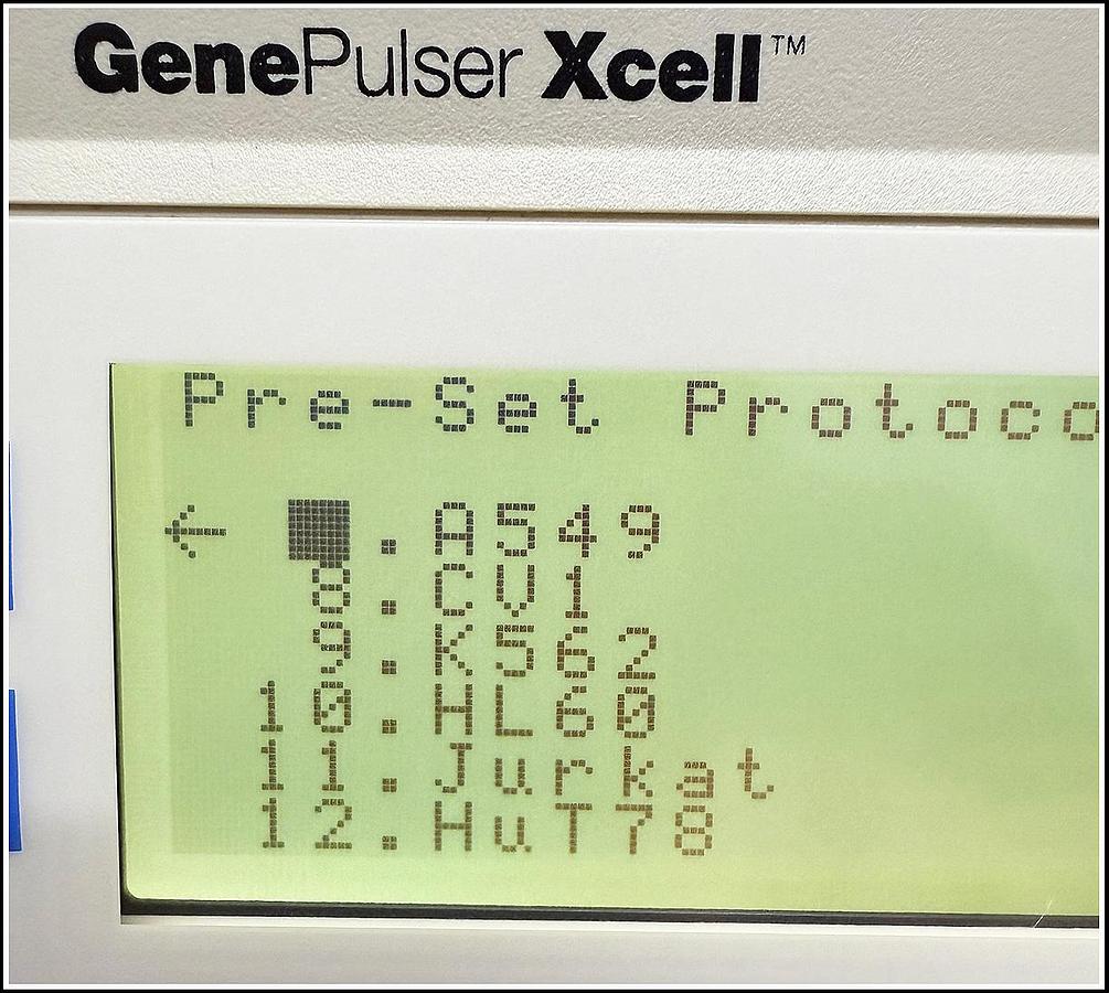 Used Bio-Rad Gene Pulser Xcell Eukaryotic System #1652661 w WARRANTY