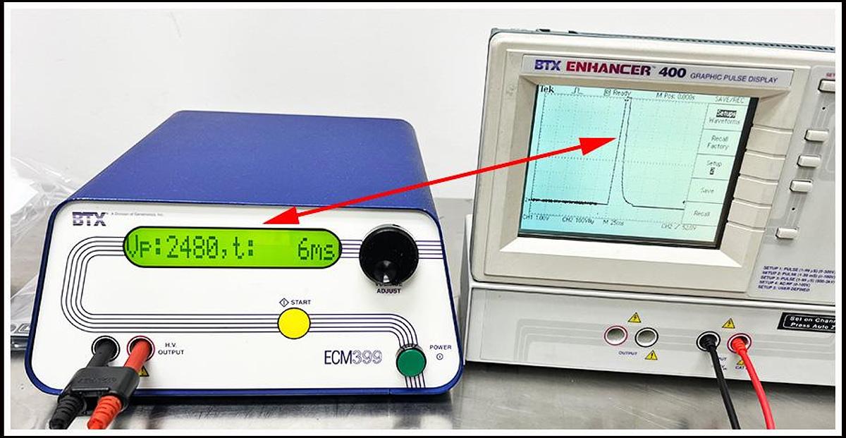 Used BTX ECM 399 Electroporator Cell Porator System w WARRANTY