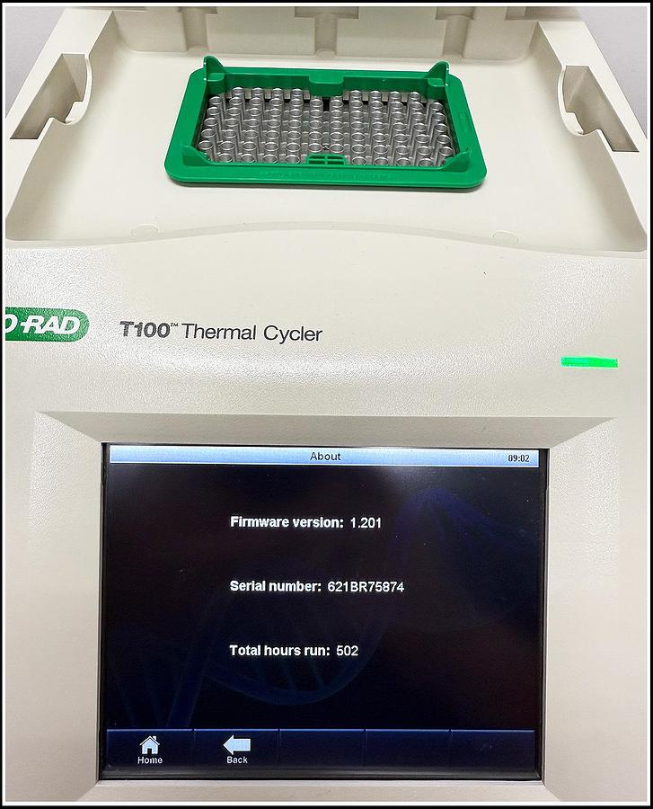 Used BioRad T100 Thermal Cycler PCR Machine w WARRANTY