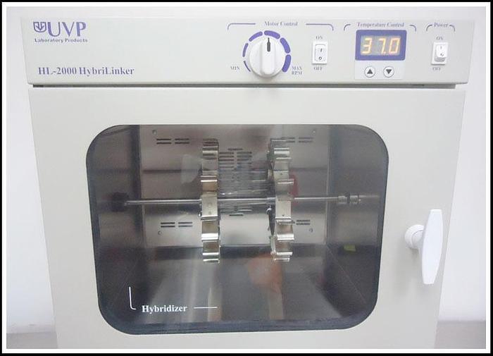 Used UVP HL-2000 Hybridization Oven and Crosslinker w WARRANTY