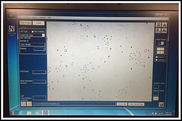Used Nexcelom Auto T4 Cell Viability Counter w WARRANTY