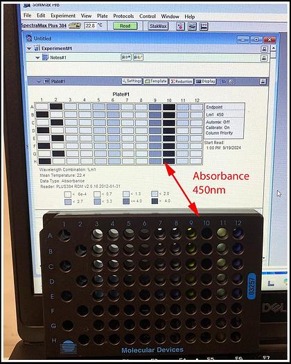 Used Molecular Devices SpectraMax Plus 384 COMPLETE w WARRANTY