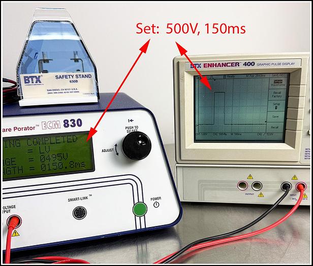 Used BTX Cell Porator Electroporation System ECM  830 w WARRANTY