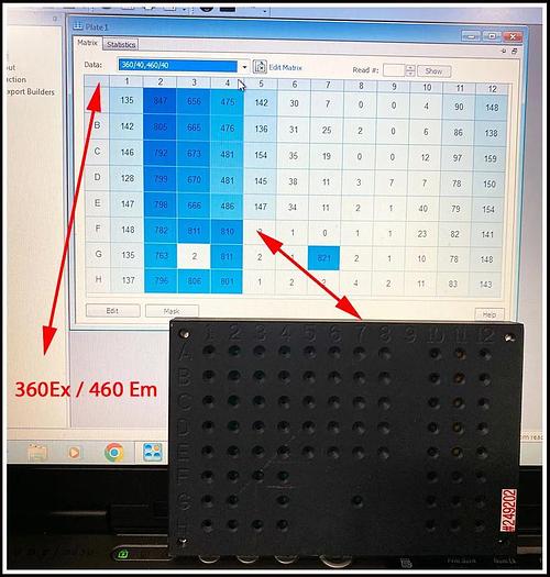Used Bio-Tek FLx800 MultiMode Fluorescence & Luminescence Reader w WARRANTY
