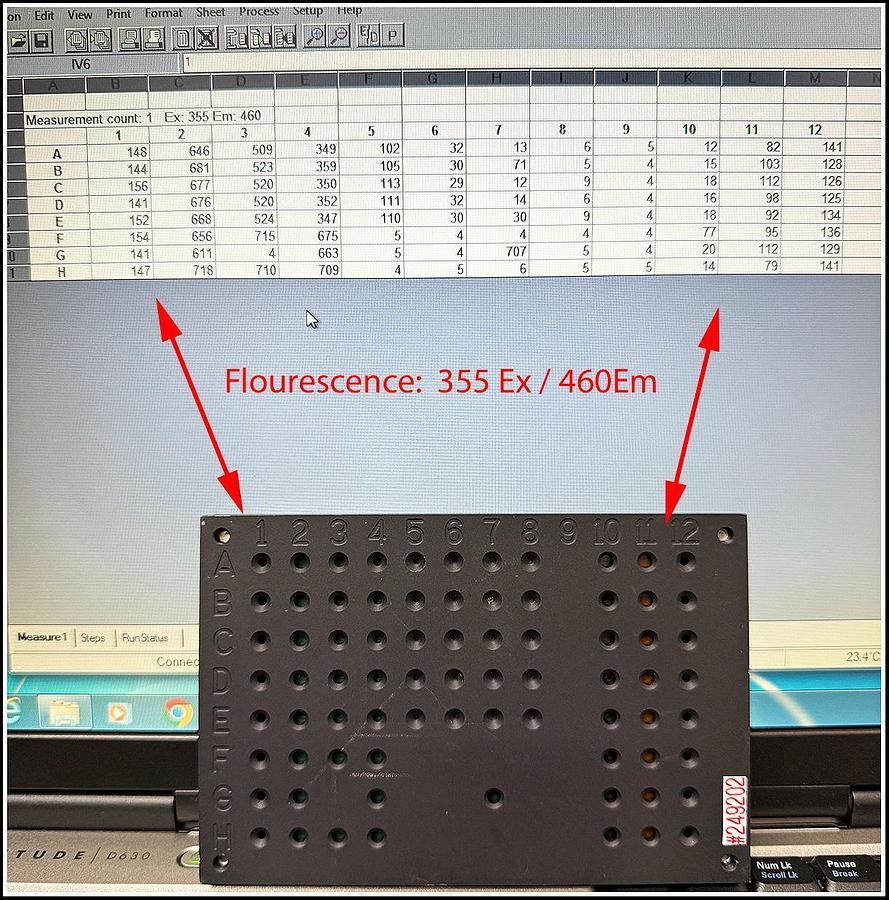 Used Thermo Labsystems Fluoroskan FL Multimode Fluorescence & Lum Reader W WARRANTY