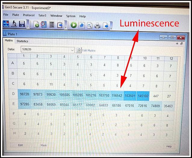 Used Bio-Tek Synergy HTX Multi-Mode Microplate Reader W WARRANTY