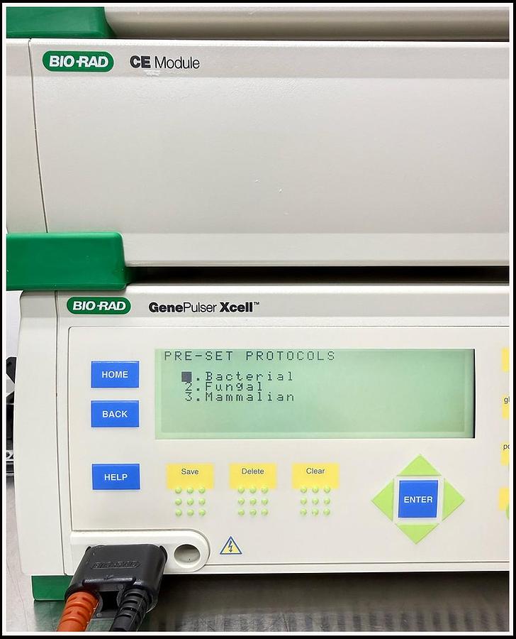 Used Bio-Rad XCell Gene Pulser Electroporation System w WARRANTY