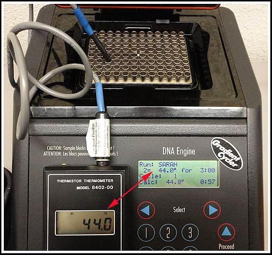 Used PTC-200 Bio-Rad MJ Research Gradient Thermal Cycler w WARRANTY