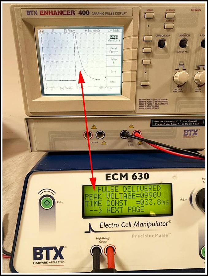Used BTX Cell Porator Electroporation ECM 630 System w WARRANTY