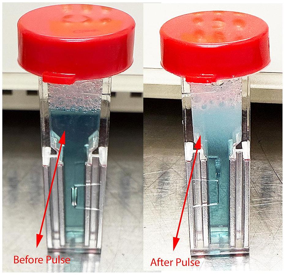 Used Bio-Rad Gene Pulser Xcell Eukaryotic System #1652661 w WARRANTY