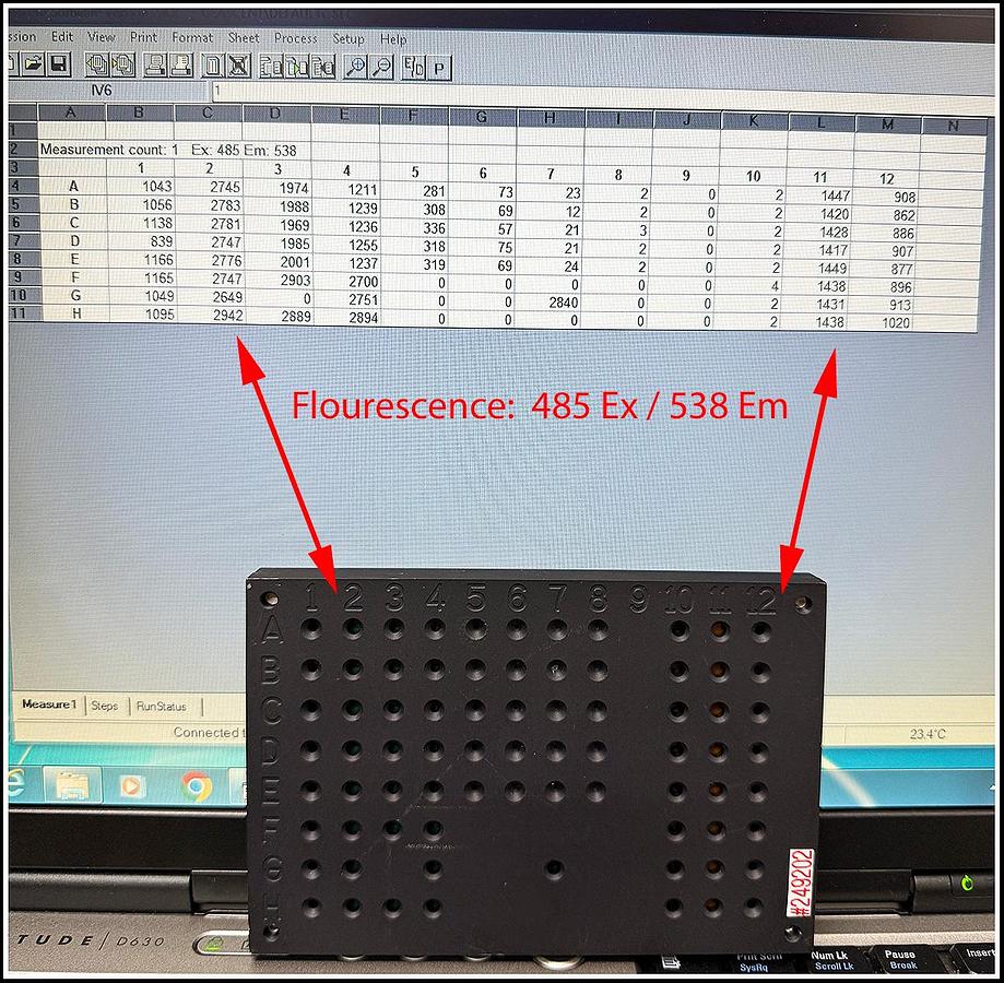 Used Thermo Labsystems Fluoroskan FL Multimode Fluorescence & Lum Reader W WARRANTY