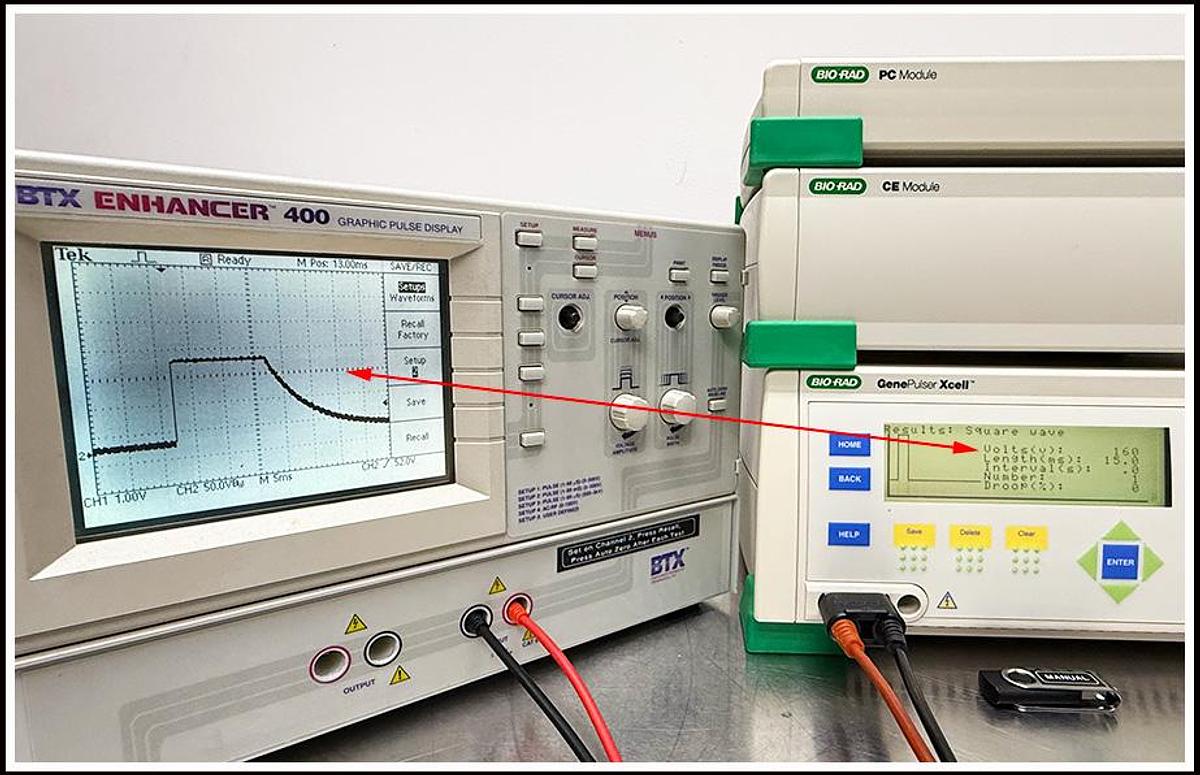 Used Bio-Rad XCell Electroporation System COMPLETE w WARRANTY