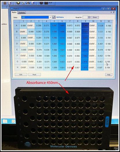 Bio-Tek PowerWave XS Microplate Reader Scanning Spectrophotometer w WARRANTY