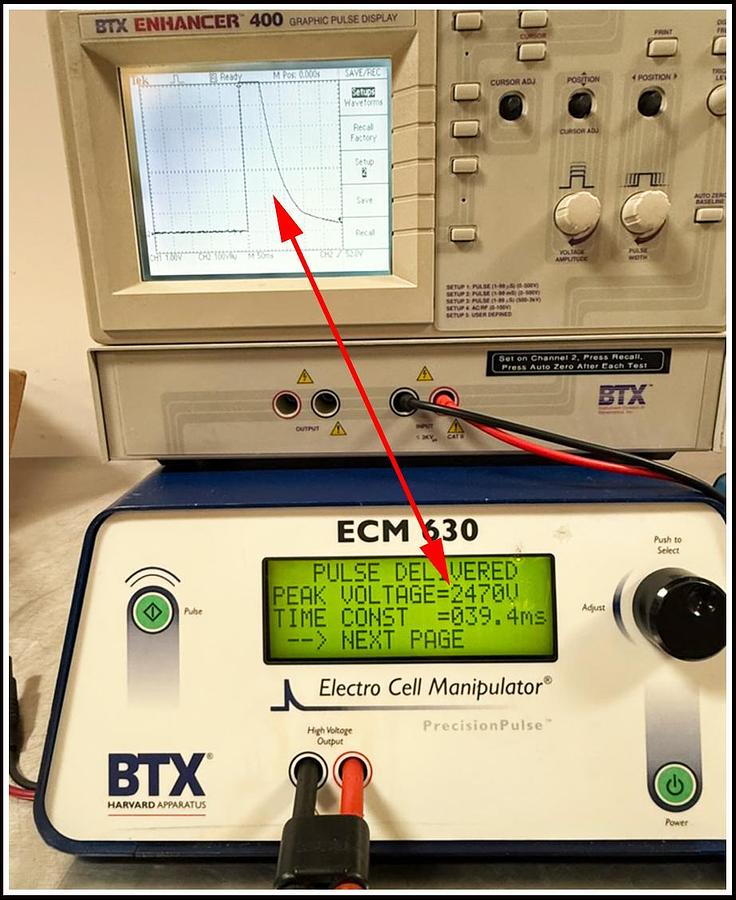 Used BTX Cell Porator Electroporation ECM 630 System w WARRANTY
