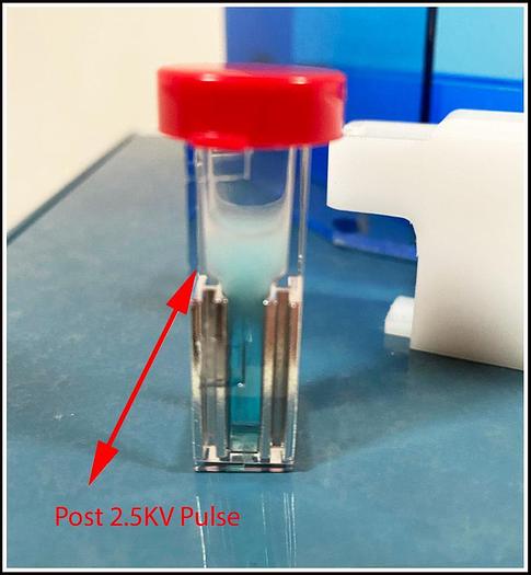 Used BTX Transporator T720 Electroporator EColi Bacteria Pulser w WARRANTY