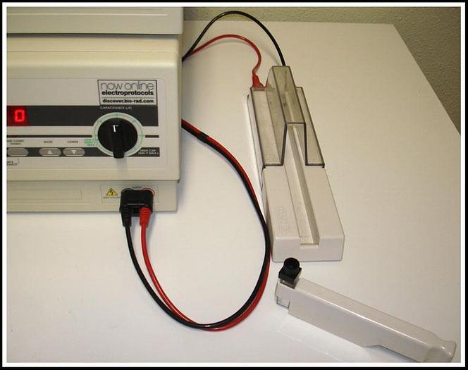 Used Bio-Rad Gene Pulser II Porator Electroporation System w WARRANTY