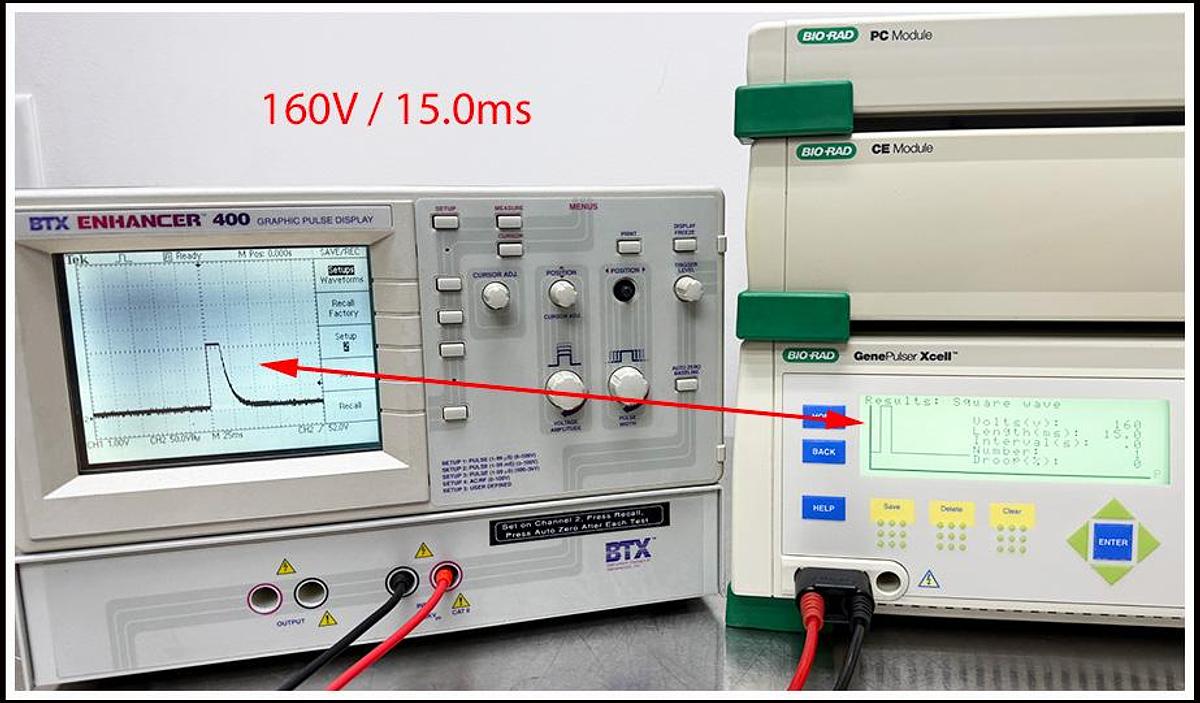 Used Bio-Rad XCell Gene Pulser Electroporation System w WARRANTY