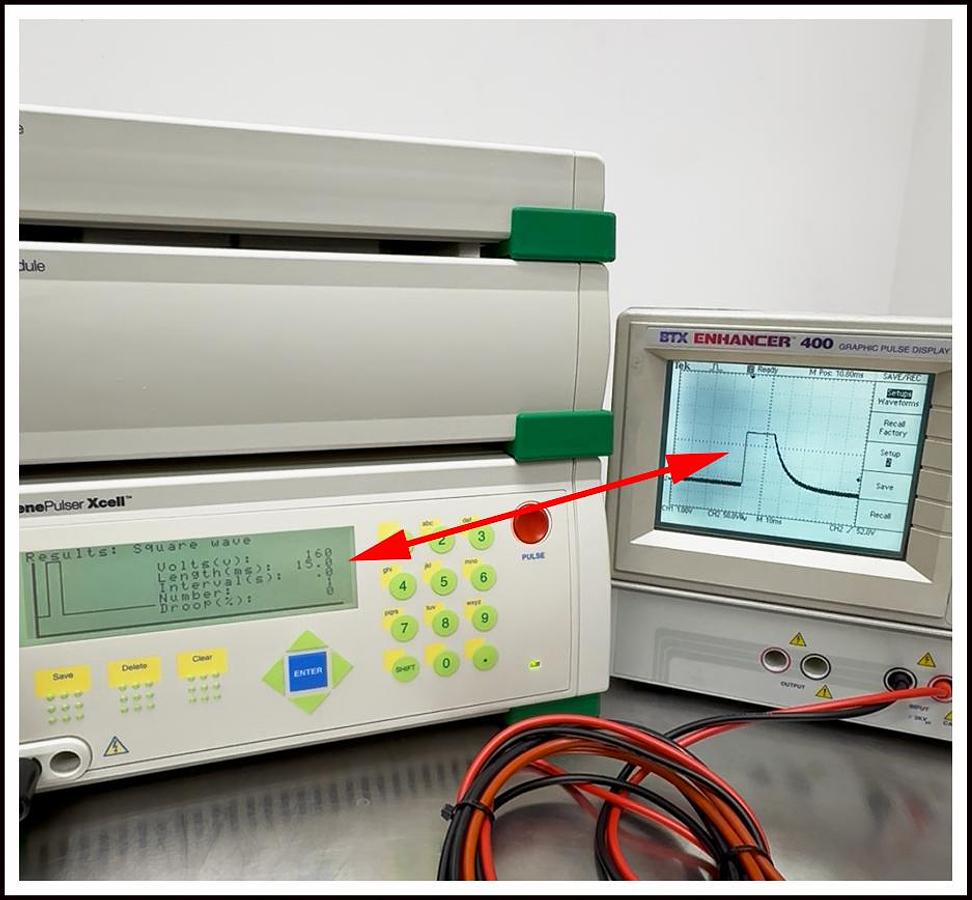 Used Bio-Rad XCell Gene Pulser Electroporation System w WARRANTY