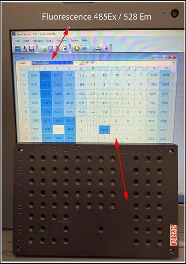 Used Bio-Tek Synergy HTX Multi-Mode Microplate Reader W WARRANTY