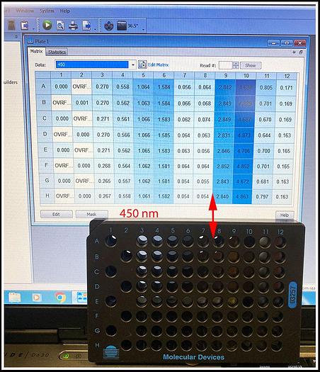 Used Bio-Tek ELx808 IU Microplate Reader w Incubator & Gen5 Software COMPLETE W WARRANTY