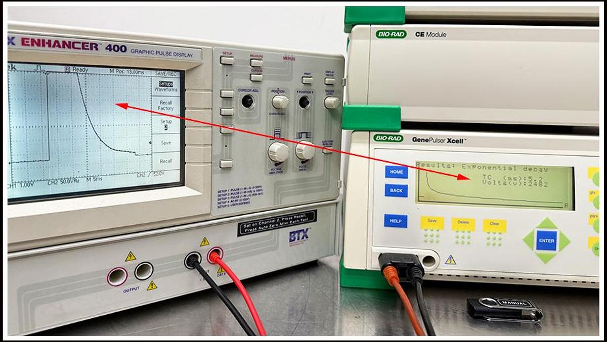 Used Bio-Rad XCell Electroporation System COMPLETE w WARRANTY
