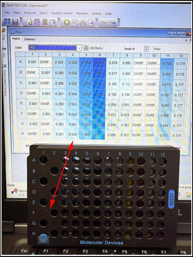 Used Bio-Tek Elx800 Microplate Reader COMPLETE w WARRANTY