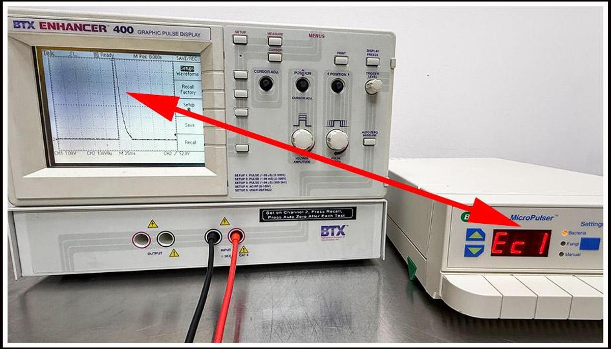 Used Bio-Rad Micropulser Electroporation Bacterial Cell Porator w WARRANTY