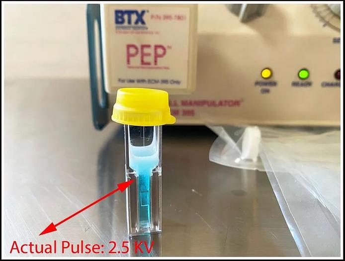 Used BTX ECM 395 Cell Electroporator System w WARRANTY