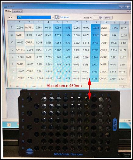 Used Bio-Tek Elx808 Microplate Reader Spectrophotometer COMPLETE w WARRANTY