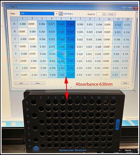 Used Bio-Tek ELx808 IU Microplate Reader w Incubator COMPLETE W WARRANTY