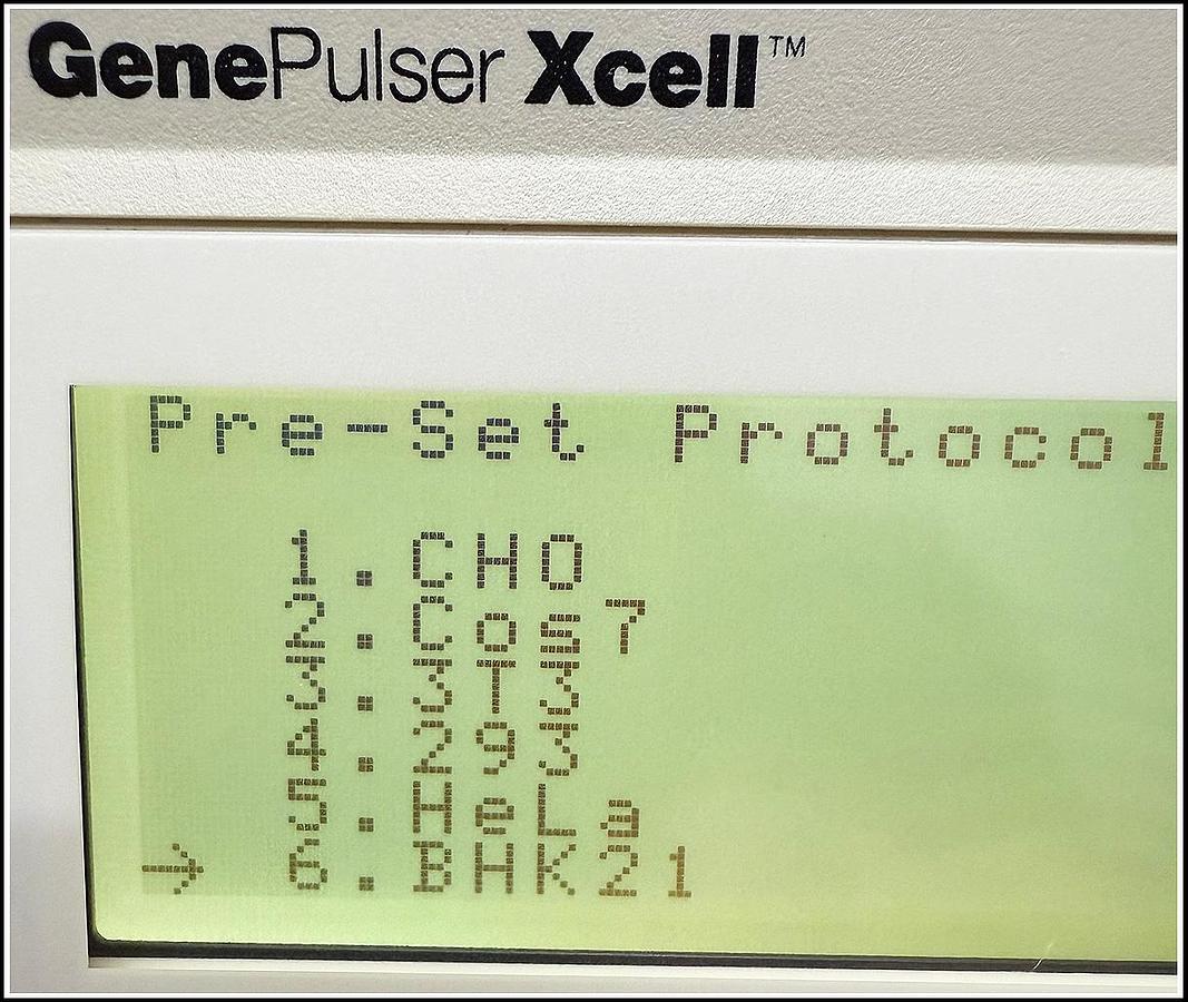 Used Bio-Rad Gene Pulser Xcell Eukaryotic System #1652661 w WARRANTY