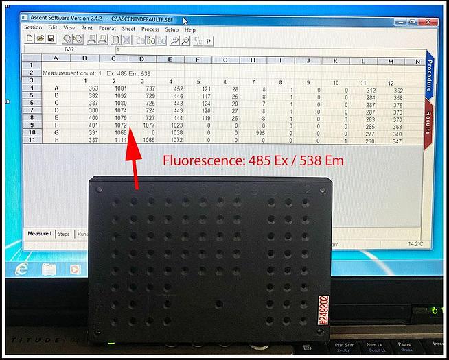 Used Thermo Labsystems Fluoroskan Ascent Fluorescence Microplate Reader W WARRANTY