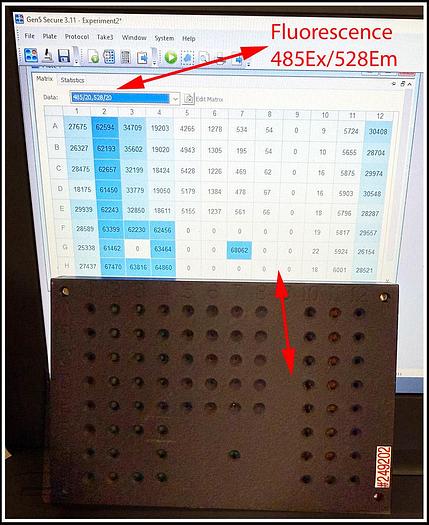 Used Bio-Tek Synergy HTX Multi-Mode Microplate Reader W WARRANTY