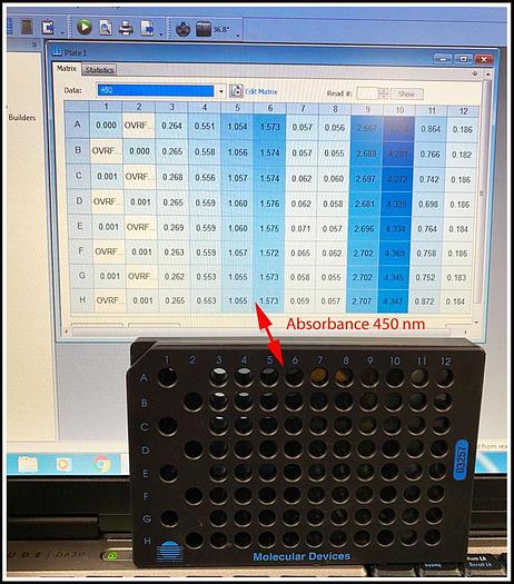 Used Bio-Tek ELx808 IU Microplate Reader w Incubator COMPLETE W WARRANTY